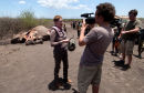EIA interview at poaching of "Hope"
