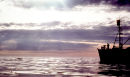 Norwegian minke whale hunt