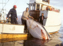 Norwegian whalers