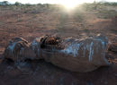 "Resilience" Carcass