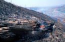 Burned forest, Samarinda, Borneo
