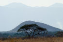 Great Rift Valley