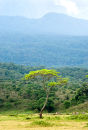 Arusha NP, Tanzania
