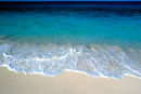 Blue Carribean