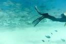 Great Barrier Reef