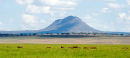 Silale swamp, Tarangire