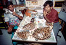 Hawksbill turtle dealers, Maldives