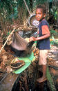 Sago production