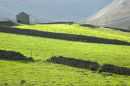 Martindale, Lake District, England