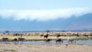 Ngorongoro clouds