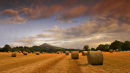 Sugarloaf & Haybales