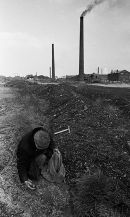 Collecting coal, near Wigan 