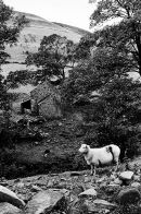 Scene in Edale 