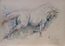 Public Exhibition Hire and Artist Residencies