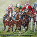 stretch For Home The 2009 Champion hurdle by Adrian Dent