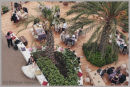 Birdseye view - Eden Project