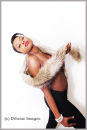 Model Portfolio