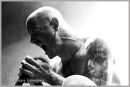 Stone Sour