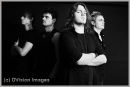 Sworn Amongst