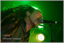 The Wildhearts