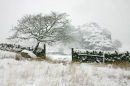Near Ffestiniog