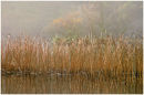 Llyn Mair