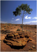 Kings Canyon-Australia