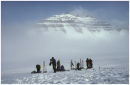 Greenland#1