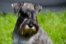 Eddie Howland Photography