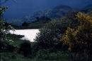 Loch - Lubhair
