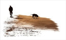 One Man and his Dog