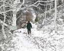Winter Wonderland Michael Newton 2nd