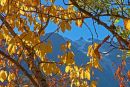 Alpine Autumn Howard Rawlinson Comm.
