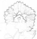 Pencil Shaving Alisa Yates Comm.