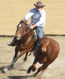 Campdrafting