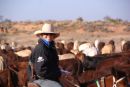 Bridie, Anna Creek Station, Great Australian Outback Cattle Drive