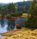 Cradle Mt, Tasmania