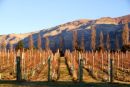 Wanaka, New Zealand