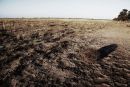 Dry times, central Queensland