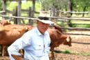 Carbon trading story, published 'The Australian', Feb'09