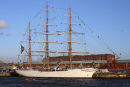 Cisne Branco Dock 1 