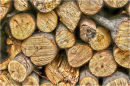 Log jam