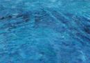 Mar Adentro/ The Sea Inside