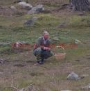 PICS SHOW;Prince Charles mushroom picking near loch muick Saturday afternoon prefering this ,rather than joining the rest of the royals on a grouse shoot on he moors near Corgarf Castle