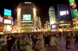 Shibuya Serenity