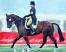Friday's Dressage