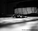 AOP Gallery