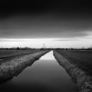Somerset Levels 01