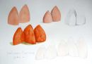 Pelican Forms