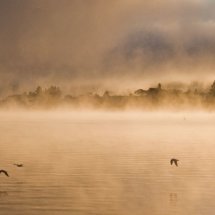 Lake Jindabyne 110517